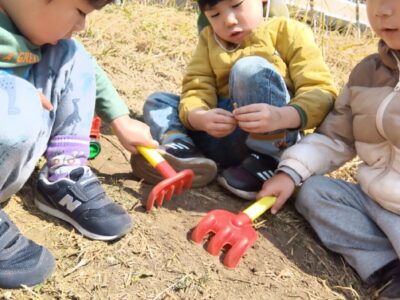企業主導型　ぴーまん保育園　綱島