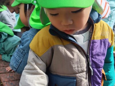 企業主導型　ぴーまん保育園　綱島