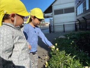 保育園　反町　神奈川区