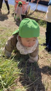 企業主導型保育園