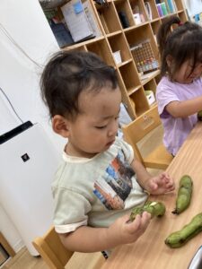 横浜市 保育園