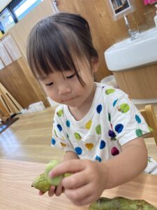 横浜市 保育園