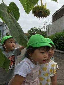保育園　反町　神奈川区