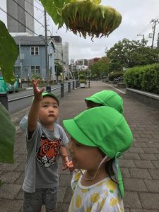 保育園　反町　神奈川区