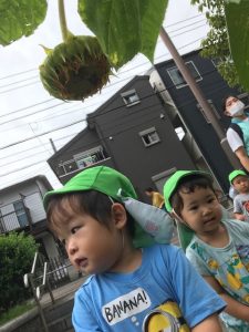 保育園　反町　神奈川区