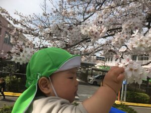 新杉田　保育園　