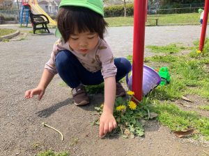 新杉田　保育園　