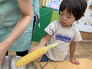 新杉田　保育園　