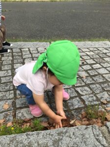 保育園　反町　神奈川区