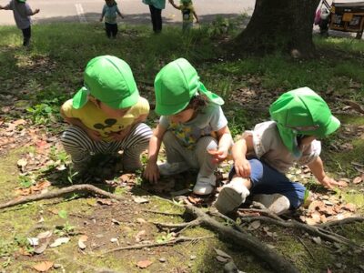 保育園　反町　神奈川区