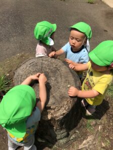 保育園　反町　神奈川区