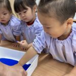 企業主導型保育園