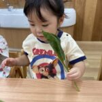 企業主導型保育園