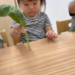 企業主導型保育園