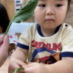企業主導型保育園
