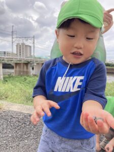 企業主導型保育園