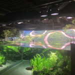 企業主導型保育園