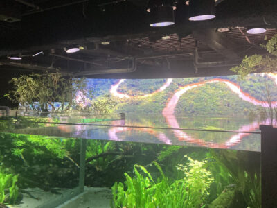 企業主導型保育園