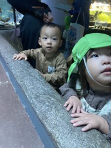 企業主導型保育園