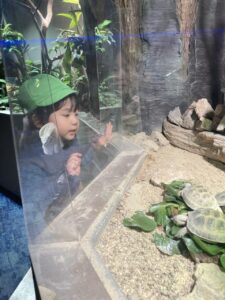 企業主導型保育園