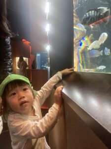 企業主導型保育園