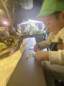 企業主導型保育園