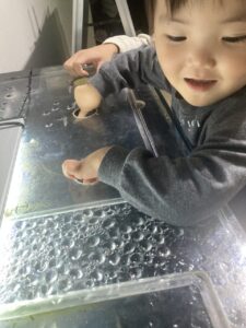 企業主導型保育園