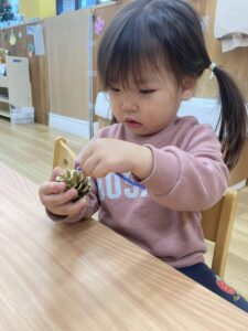 企業主導型保育園