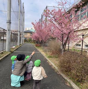 ぴーまん保育園　お散歩