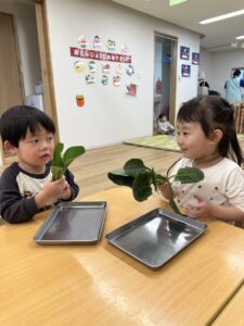 保育園　反町　神奈川区