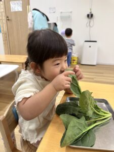 保育園　反町　神奈川区