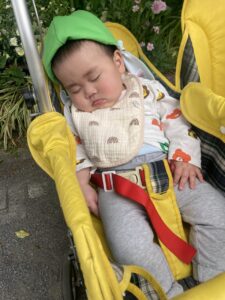 企業主導型保育園