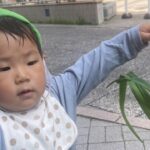 港北区 保育園