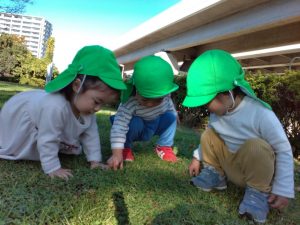 新杉田　磯子区　保育園