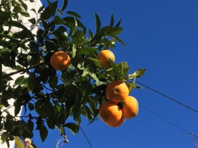 保育園　反町　神奈川区