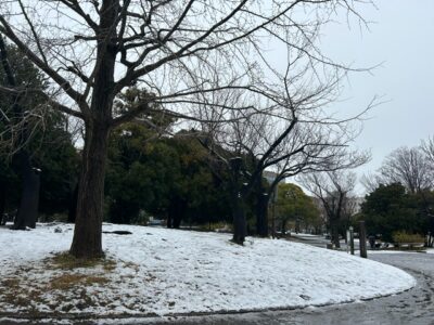 保育園　反町　神奈川区