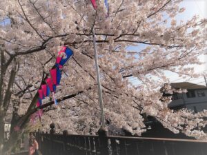 ぴーまん保育園　弘明寺