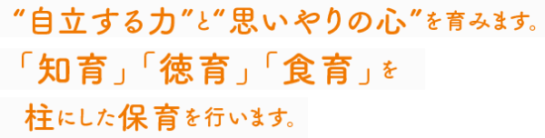 自立する力と思いやりの心を育みます。「知育」「徳育」「食育」を柱にした保育を行います。